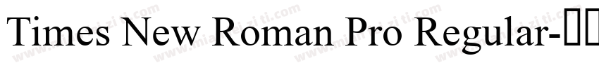 Times New Roman Pro Regular字体转换